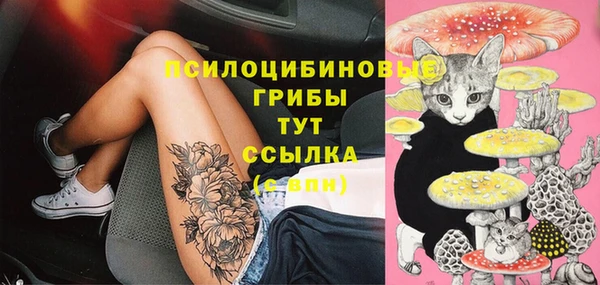 гашик Абаза