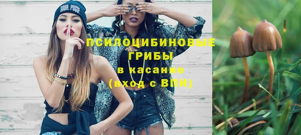 индика Абдулино