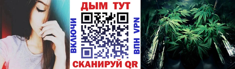 хочу наркоту  Чишмы  Бошки Шишки гибрид 